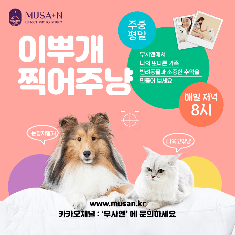 반려동물.jpg