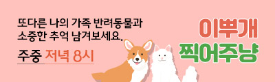 이뿌개찍어주냥